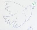 Picasso Dove