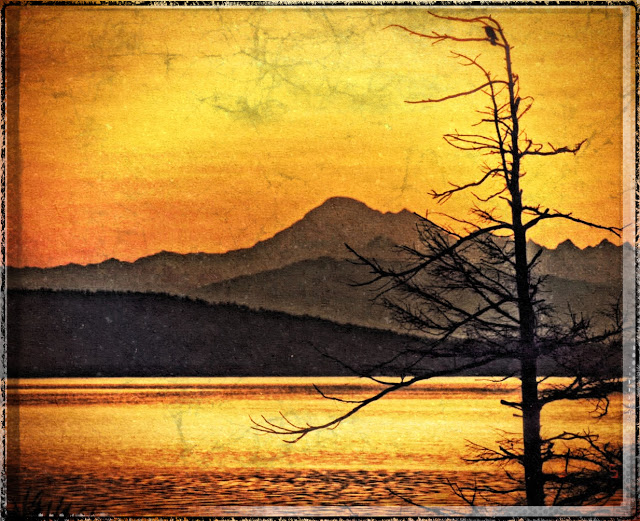 Marie's digital imagery; the photo is of Mount Baker, and if I recognize that tree on the right, taken at the Anacortes Ferry Landing, probably while waiting for the ride home to the island.