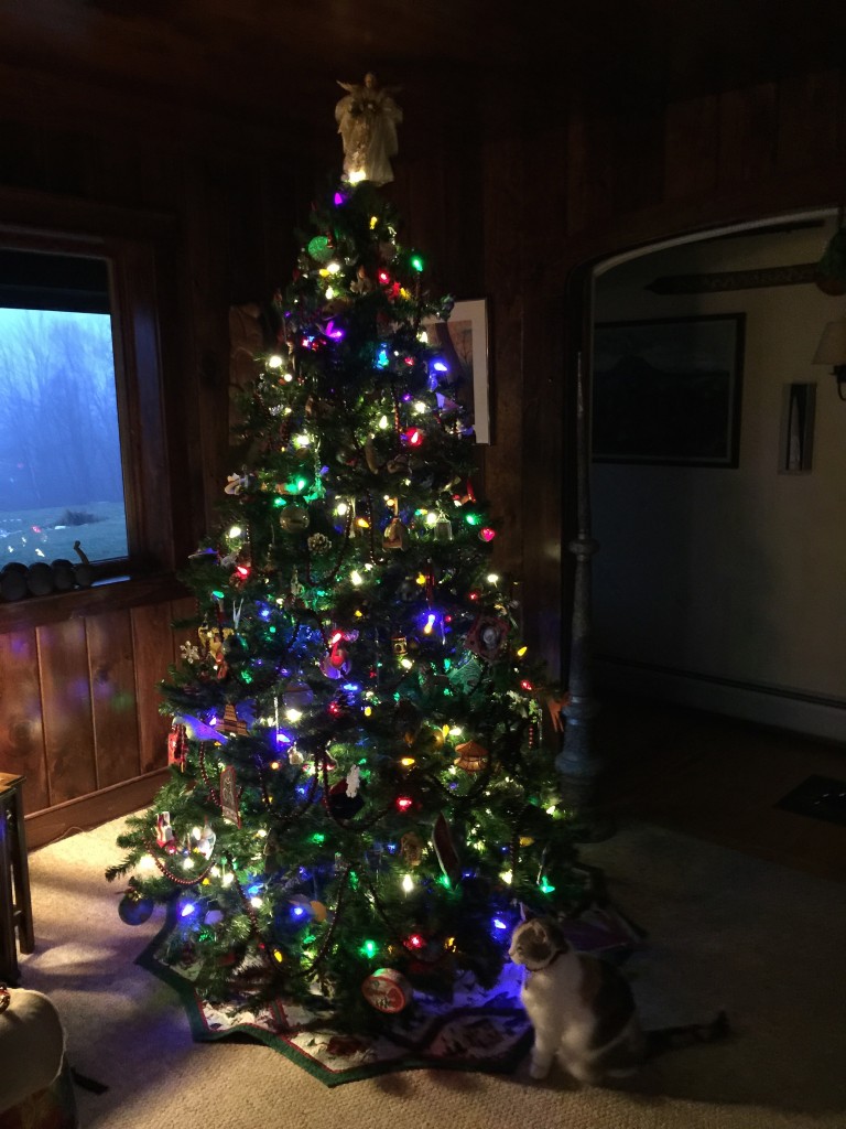 Our tree, 2014.