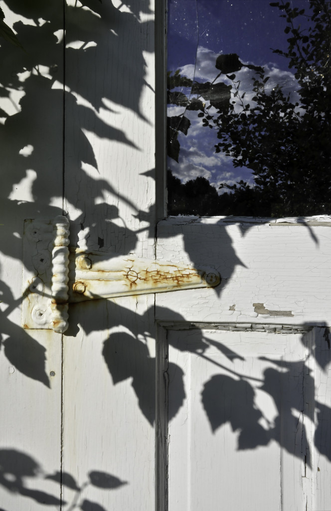 This is the photo I submitted as my class assignment. A picturesque (means falling apart) buidling on our property. LOVED this shot but it needed some work. Deepend the leaf shadows, then dodged the shadows on the left part of the hinge so it was more visible. Reduced highlights a tiny bit. Selected the cracked windowpane and lightened as it was too dark—overpowered the rest of the door. Summer in Maine!