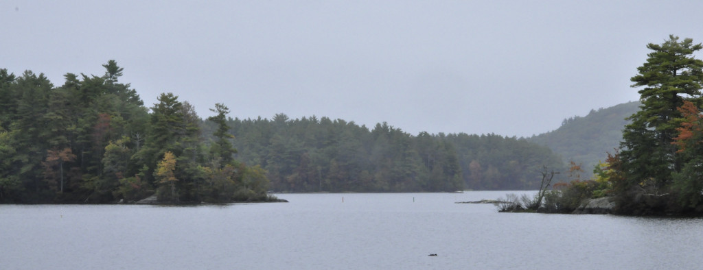 A misty, hazy, rainy morning at the boat launch on Megunticook Lake on Route 105 (on the way home from town).  Yes, I get to live in this gloriously beautiful place!  Smart sharpen and crop, but not much else.