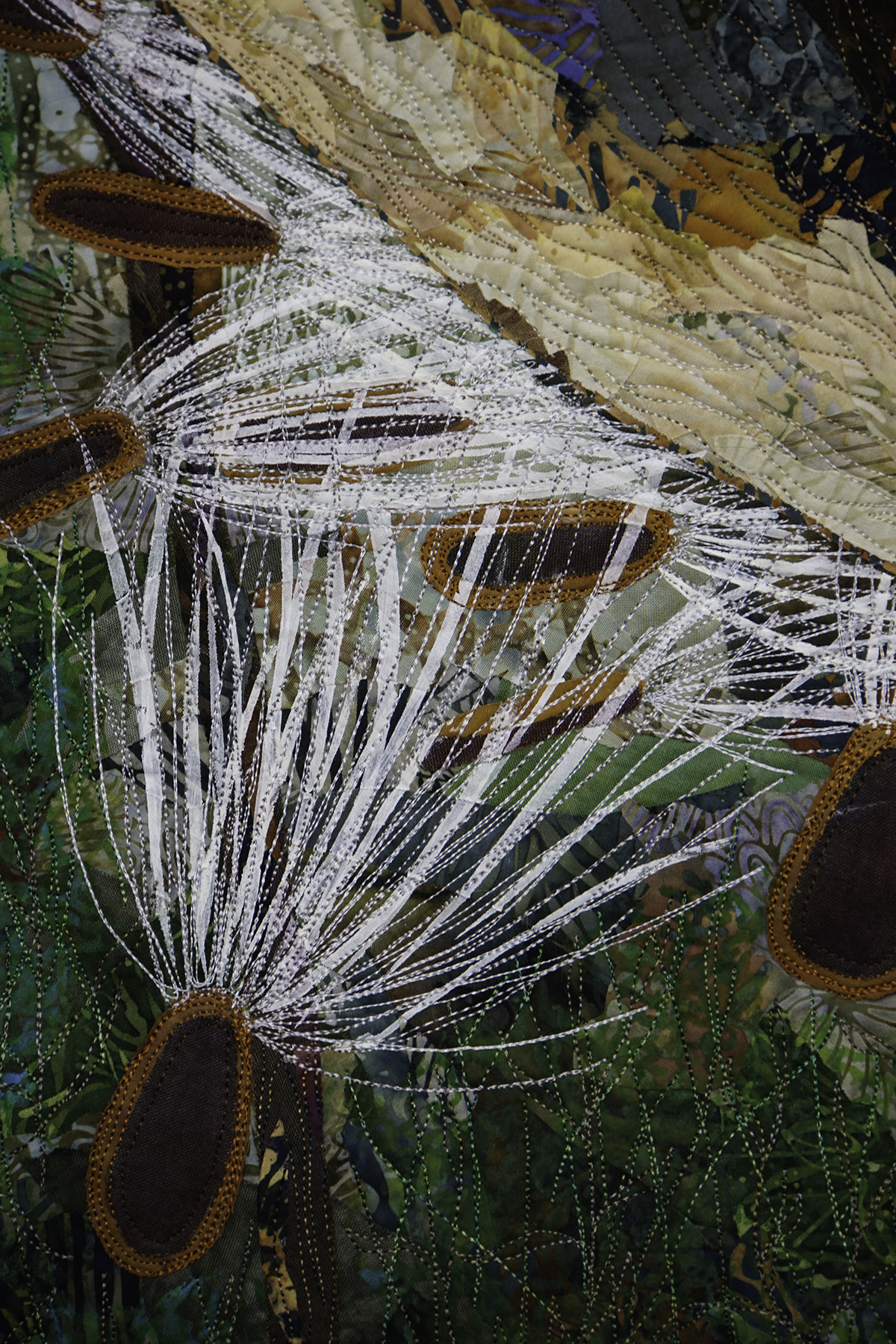 Milkweed pod, seeds and silks detail