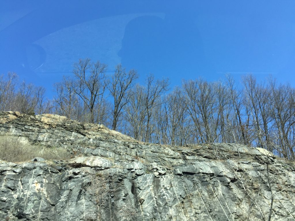 This is in NY, I think, but I love the look up to the just-about-to-bud-out trees.  I also really like the ghost silhouette of Paul in the reflection on the window.