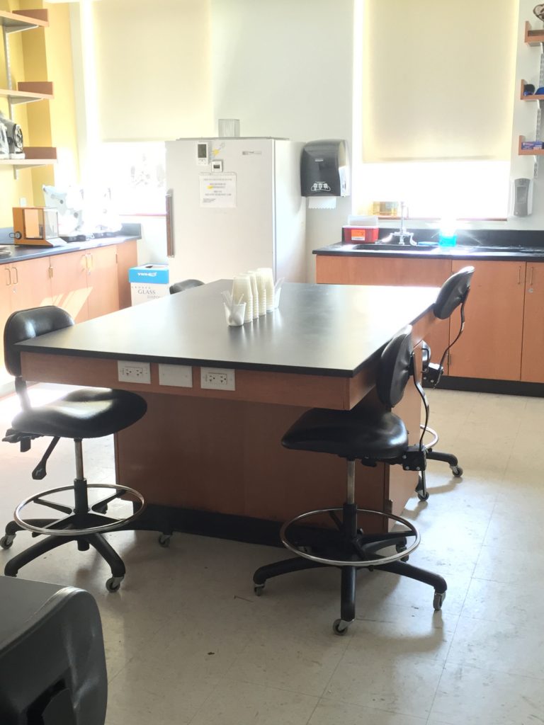 And lookit this lab table...with the outlets on the end.  Wouldn't you love a STUDIO (as well as kitchen) island with outlets on it?